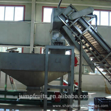 vegetable pineapple processing machine